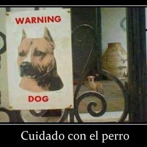 Meet your Posher, Real g